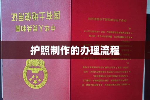 罗山护照制作的办理流程